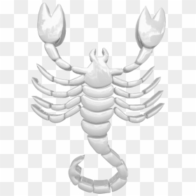 Scorpio Zodiac Sign - Scorpion Clipart, HD Png Download - scorpio png