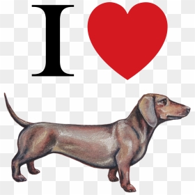Pacific Islands Club Guam, HD Png Download - dachshund png