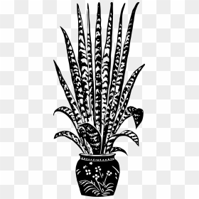 Potted Plant 7 Clip Arts - Houseplant Black And White, HD Png Download - potted plants png