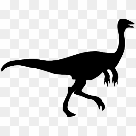 Animals, Shadow, Dinosaurs, Dino, Dinosaur, Jurassic - Gallimimus Shadow, HD Png Download - dinosaurs png