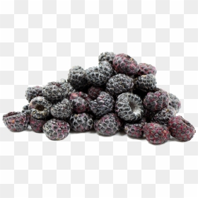 Black Raspberries Png File - Raspberry, Transparent Png - raspberries png