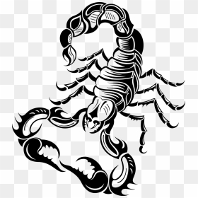 Tattoo Png Download - Scorpion Tattoo Png, Transparent Png - scorpio png