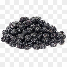 Black Raspberries Png Transparent Image - Kirmizi Ginsengli Dut Özü, Png Download - raspberries png