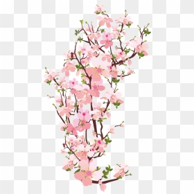 Transparent Cherry Blossom Png, Png Download - sakura petals png