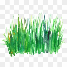Green Grass Cluster Transparent Decorative - Watercolor Grass, HD Png Download - green grass png