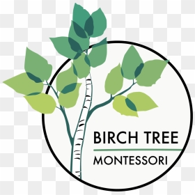 Birchlogo6-02 Edited - Graphic Design, HD Png Download - birch tree png