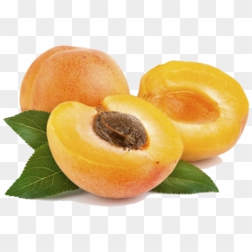 Apricot Png - Peach Meaning In Urdu, Transparent Png - apricot png