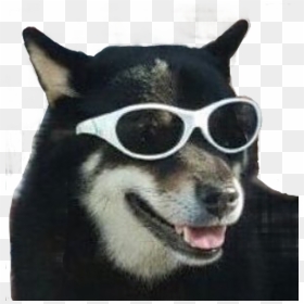 #dog #meme #funny #puppy #sunglasses #freetoedit - Funny Memes Png Dog, Transparent Png - funny meme png