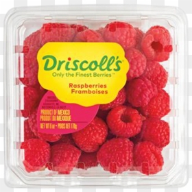 6 Oz Driscoll's Raspberries, HD Png Download - raspberries png