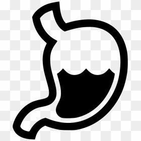 Stomach Digestion Gastritis Organ Gastroenterologist - Digestion Icon Png, Transparent Png - stomach png