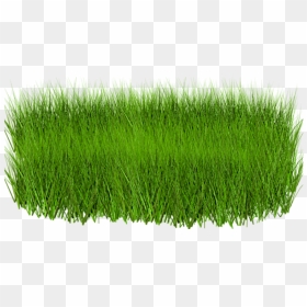 Green Grass Image Hd, HD Png Download - green grass png