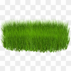Green Grass Image Hd, HD Png Download - green grass png