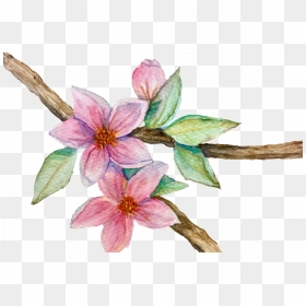 Fineart, HD Png Download - sakura petals png