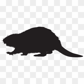 Silhouette Png Clip Art - Silhouette Beaver Clipart, Transparent Png - groundhog png