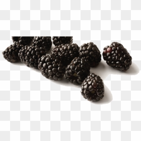 Black Raspberries Png Free Download - Black Raspberry Png, Transparent Png - raspberries png