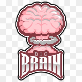 Bigbrain - Big Brain, HD Png Download - brain.png