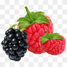 Strawberry Raspberry Blueberry Blackberry, HD Png Download - raspberries png