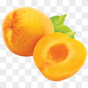 Apricot Png Without Seed - Transparent Png Apricot Png, Png Download - apricot png