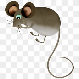 Transparent Mouse Animal Png - Rat, Png Download - mouse animal png
