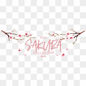 Sakura Collection｜京王百貨店 新宿店 - Calligraphy, HD Png Download - sakura petals png