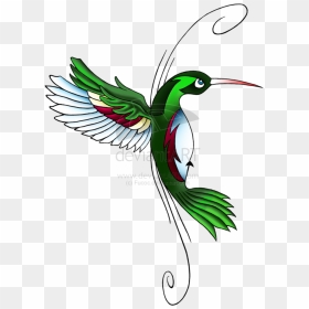 Hummingbird Tattoos Download Png - Hummingbird Tattoo Designs, Transparent Png - tattoo designs png