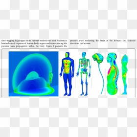 Simulations Of Human Body Under 5 Lb C4 Explosion And - C4 Explosion, HD Png Download - human body png
