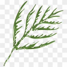 Green Coral Grass Png Transparent - Illustration, Png Download - green grass png