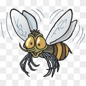 Flying Fly Clipart, HD Png Download - flying bee png