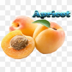 Apricot Free Download Png - Peach Pit Clipart, Transparent Png - apricot png