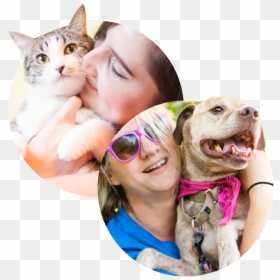 Thumb Image - Cat Grabs Treat, HD Png Download - dog and cat png