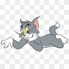 Tom And Jerry Png Hd Image - - Tom Cartoon Character, Transparent Png - tom and jerry png
