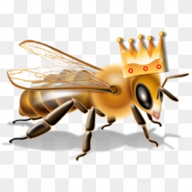 Transparent Bee Transparent Png - Queen Bee Transparent Free, Png Download - flying bee png