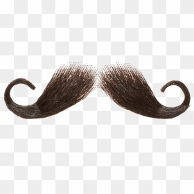 Moustache Transparent Images - Handlebar Mustache Transparent Background, HD Png Download - mustache transparent png