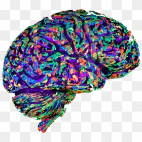 Art Brain Transparent Background Png - Art Brain, Png Download - brain transparent png