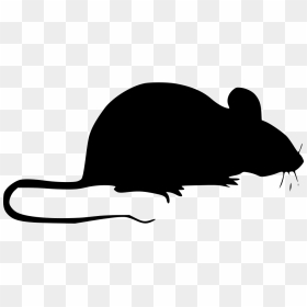 Mouse - Mouse Animal Icon Png, Transparent Png - mouse animal png