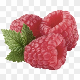 Composed Of Calcium, Iron, Potassium And Magnesium, - Raspberry Benefits, HD Png Download - raspberries png