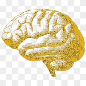 Creative Brain Png , Png Download - Effect Of Drug To The Brain Drawing, Transparent Png - brain.png
