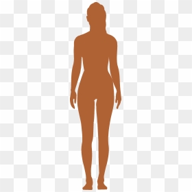 Human Body Outline Png - Female Human Body Png, Transparent Png - body outline png