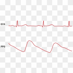 Ecg Vs Ppg Graph, HD Png Download - heart rate png