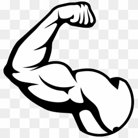 Muscle Png Image - Muscle Png, Transparent Png - body outline png
