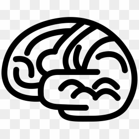 Brain Body Organ Outline - Cerebro Contorno Png, Transparent Png - body outline png