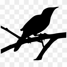 Mockingbird Clip Art Image Openclipart Jpeg - Mockingbird Png Transparent, Png Download - mockingbird png