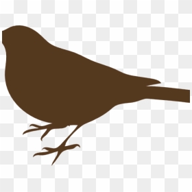 Kill A Mockingbird Clipart - Mockingbird Black And White, HD Png Download - mockingbird png