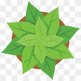 Plant Pot Top View Clipart, HD Png Download - plant top view png