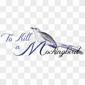 Thumb Image - Aakriti, HD Png Download - mockingbird png