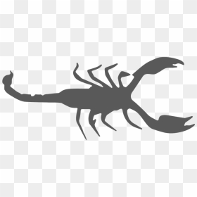 Scorpio Symbol Png, Transparent Png - scorpio png