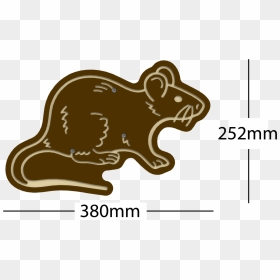 Rodent, HD Png Download - mouse animal png