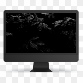 Computer Monitor, HD Png Download - forest background png