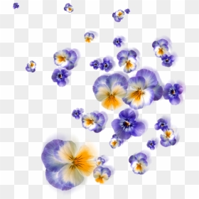 Floating Flowers Png, Transparent Png - wild flowers png