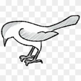 Kill A Mockingbird Drawings Easy, HD Png Download - mockingbird png